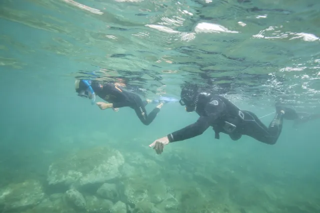 Deux personnes pratiquent la randonnée palmée, équipées de palmes, masque et tuba, observant les fonds marins en eau peu profonde.