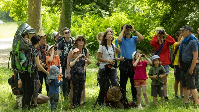 Fête de la Nature 2023 en Forêt départementale de Saoû dans la Drôme © Nicolas Van Ingen