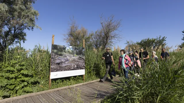Fête de la Nature à Lattes 2025 © Nicolas Van Ingen