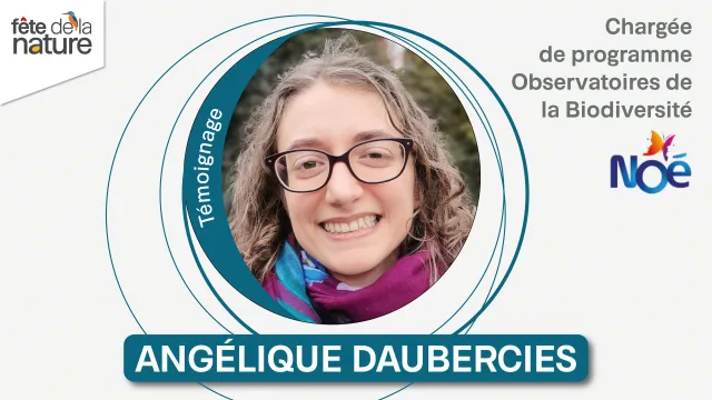 Angélique Daubercies