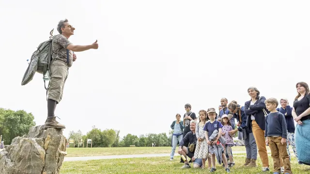 Lac de Maine Angers : Les Amuseurs des arbres © Louis-Marie Préau