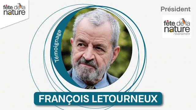 François Letouneux