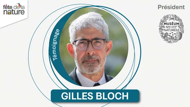Gilles Bloch