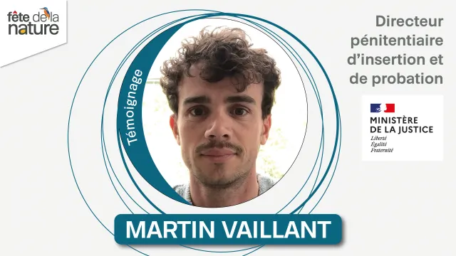 Martin Vaillant