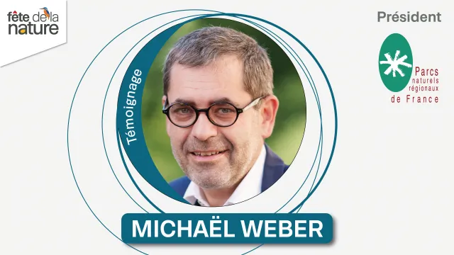 Michaël Weber