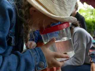Une jeune fille observe un animal aquatique à la loupe