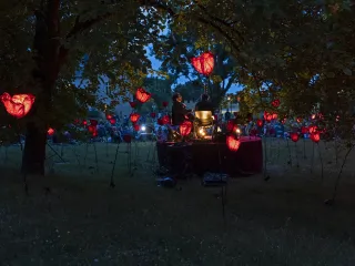 Le chant des coquelicots Lac de Maine 2025 © Louis-Marie Préau