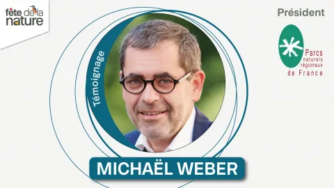 Michaël Weber