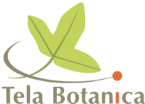 Logo - Tela Botanica