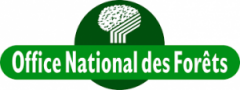 Logo - Office national des forêts