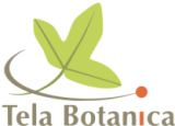Logo - Tela Botanica