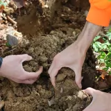 Sol forestier à Besançon © Antoine Gutowski