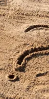 Point d'interrogation dessiné dans le sable sur une plage