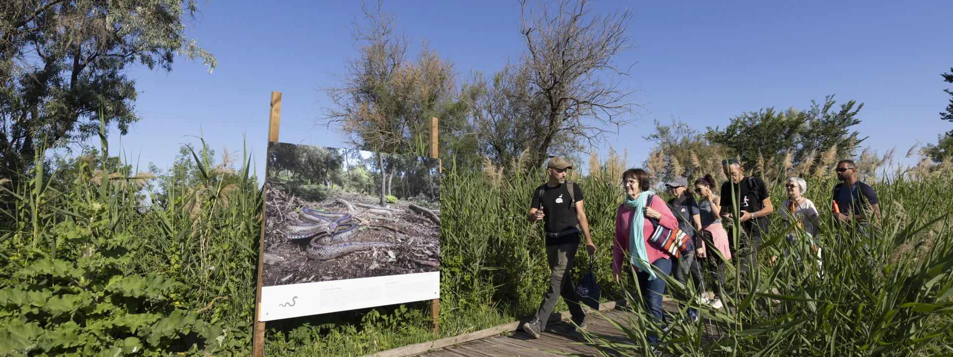 Fête de la Nature à Lattes 2025 © Nicolas Van Ingen