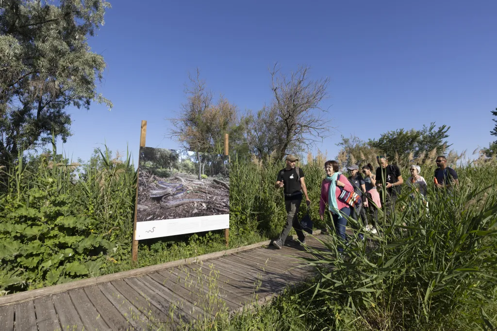Fête de la Nature à Lattes 2025 © Nicolas Van Ingen
