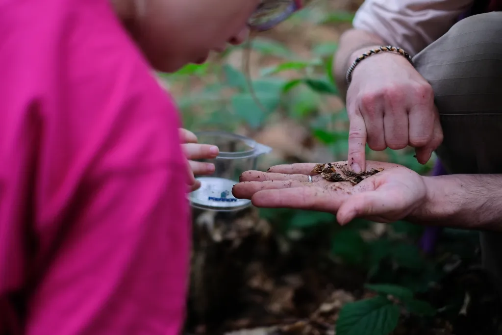 Découverte du sol lors de la Fête de la Nature 2018 à Douarnenez © Guillaume Dambreville