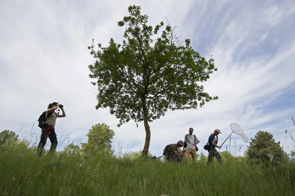 Naturalistes à Blaison © Louis-Marie Préau