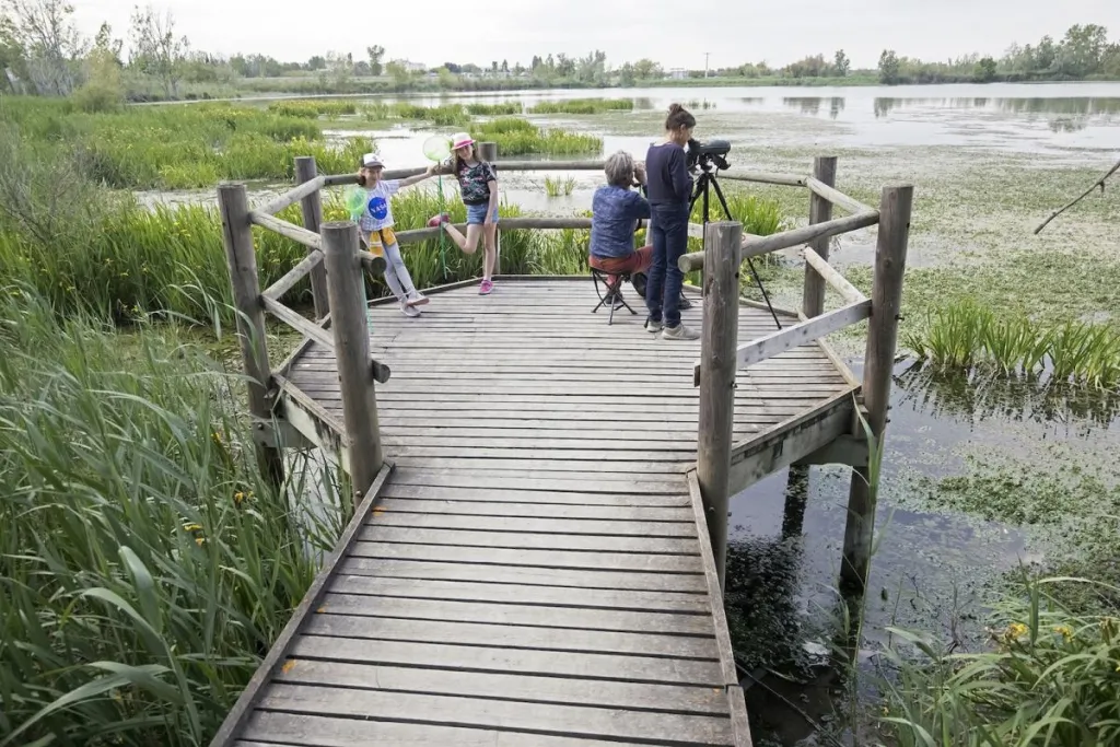 Fête de la Nature Pays d'Arles © Louis-Marie Préau