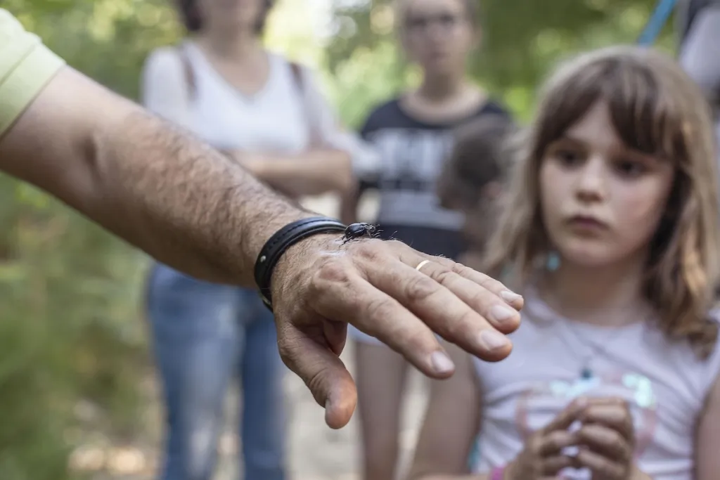 Sortie avec l'Office national des forêts