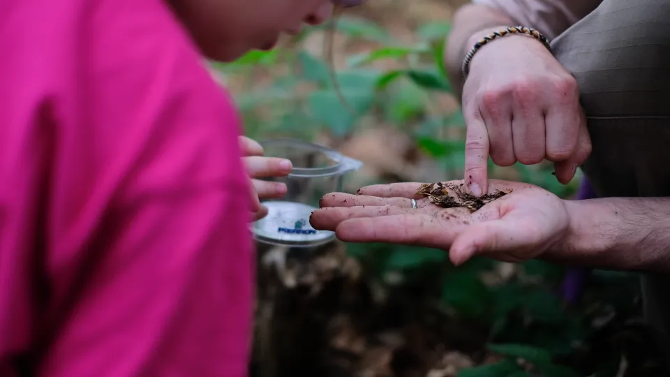 Découverte du sol lors de la Fête de la Nature 2018 à Douarnenez © Guillaume Dambreville