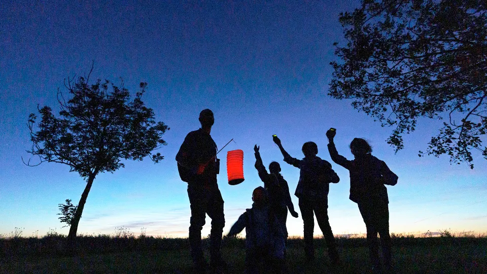 Silhouettes de plusieurs personnes observant la nature au crépuscule, debout dans un champ entre deux arbres. L’une d’elles tient une lanterne rouge et d’autres lèvent des détecteurs à ultrasons vers le ciel